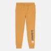 Pantaloni de trening pentru bărbați cu logo liniar – Cizme de Grâu Pantaloni de trening pentru bărbați cu logo liniar – Cizme de Grâu